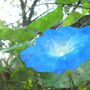 Meet your Posher, Stef